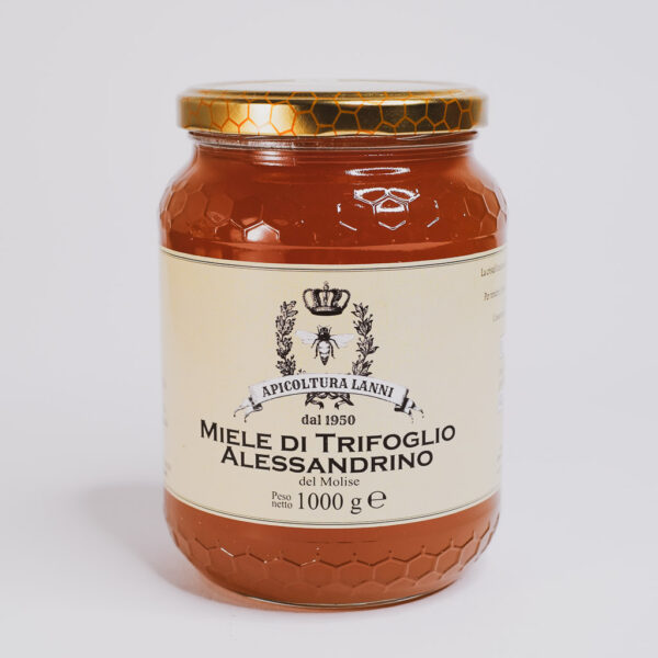 Vasetto grande di Miele di Trifoglio da 1kg prodotto artigianalmente in Molise - Apicoltura Lanni